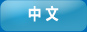 中文版